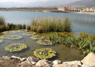 Laguna Recreacional Chicureo Región Metropolitana,